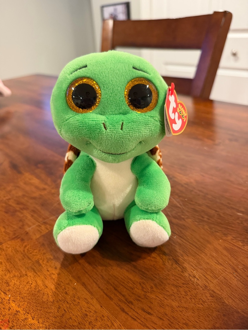 ty Turtle Beanie Boo